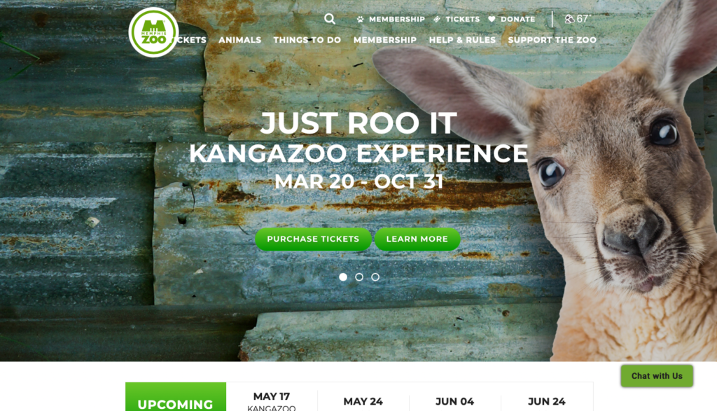 10 potężnych przykładów projektowania graficznego dla organizacji non-profit Kangazoo experience 1024x587