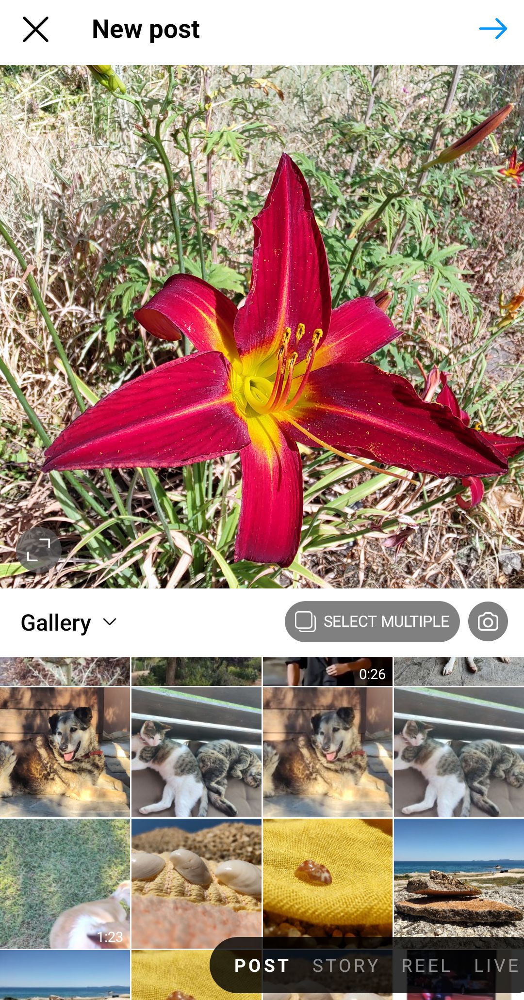 New post type options on instagram 12 różnic między aplikacjami stacjonarnymi i mobilnymi na Instagramie New post type options on instagram