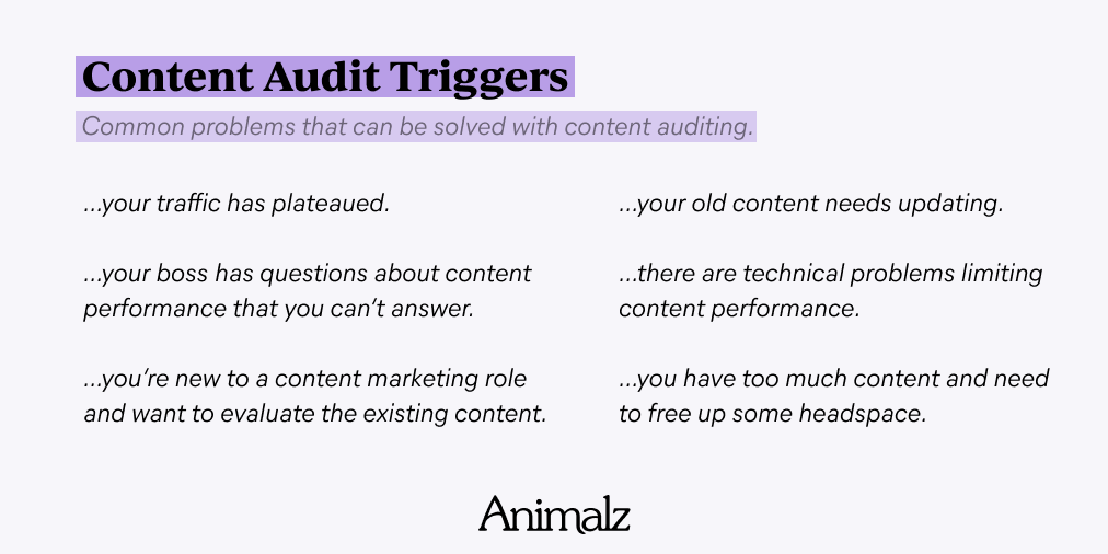 5 blogów, które musisz śledzić, aby rozwijać swoją grę marketingową Animalz