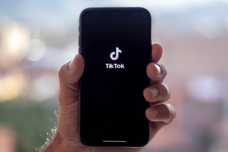 Can any TikTok user make money?