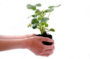 Using content marketing to generate valuable leads