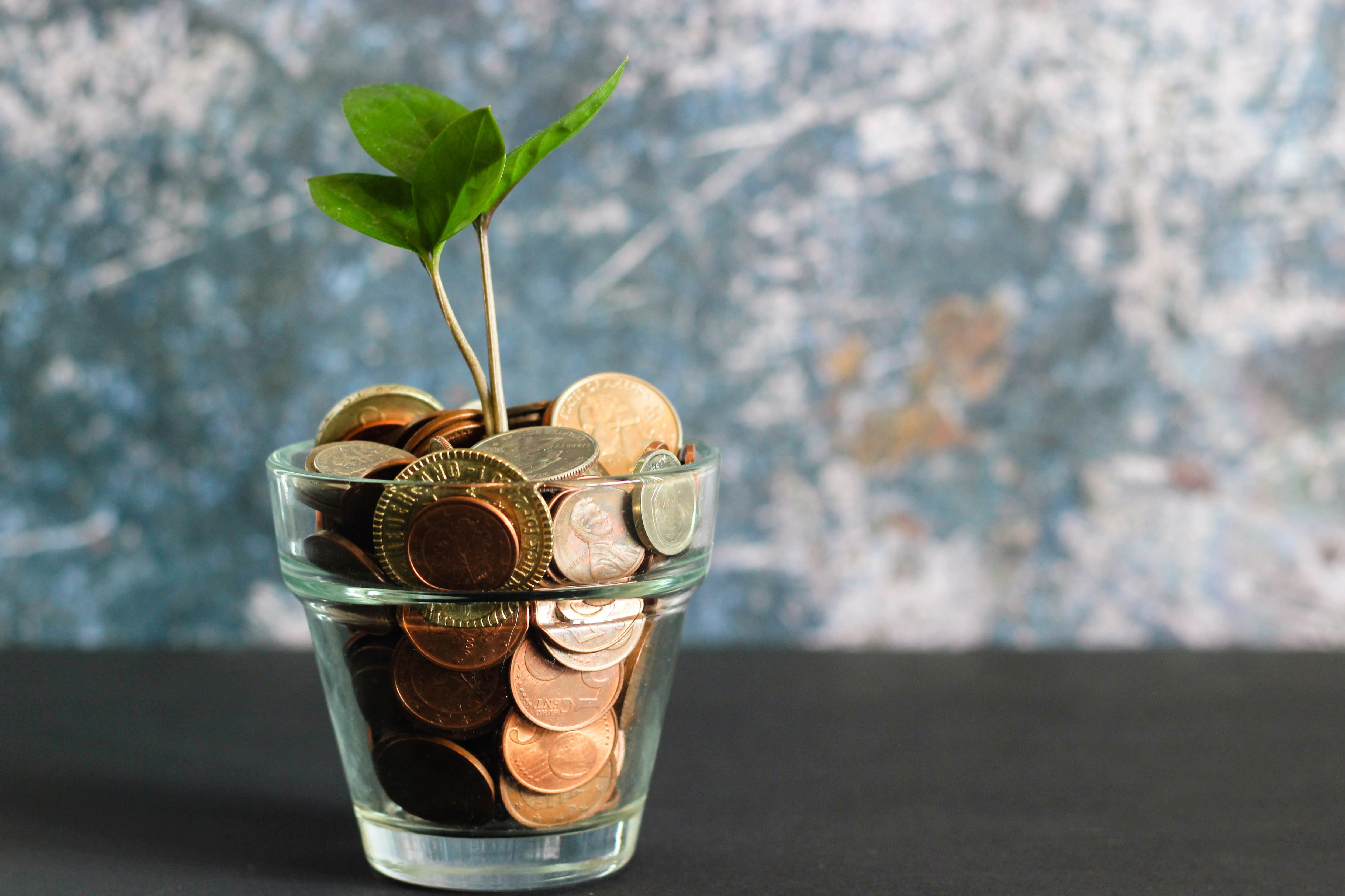 Jak sieci społecznościowe zarabiają pieniądze?  Wyjaśnione Plant growing from glass full of money