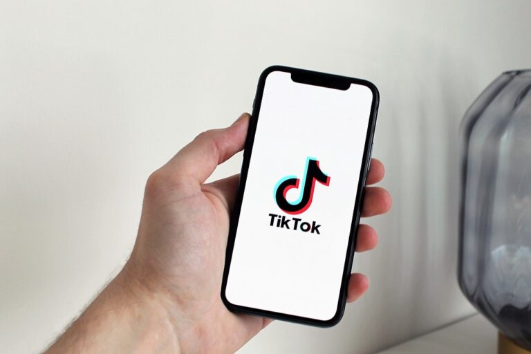 How do I get partnerships with brands on TikTok?