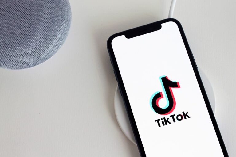 Die 5 besten Möglichkeiten, mit TikTok Geld zu verdienen