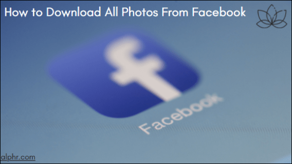 How to download all photos from your Facebook profile and pages