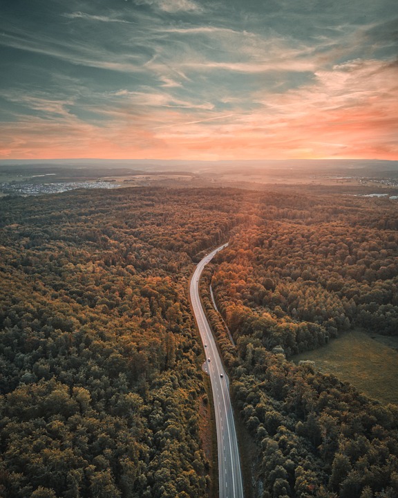 Teurere oder billigere Optionen für die Wiederherstellung von Fotos von Ihrem Handy - was Sie wählen sollten und warum